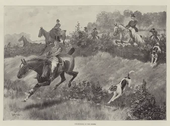 Cub-Hunting in the Shires